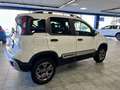 Fiat Panda 0.9 Twinair 85cv 4X4 CROSS Bianco - thumbnail 5