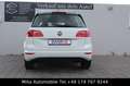 Volkswagen Golf Sportsvan Comf. 1,6 Tdi BMT/DSG/NAVI/SHZ Blanco - thumbnail 8