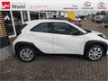 Toyota Aygo X 1.0 Business Edition Weiß - thumbnail 19