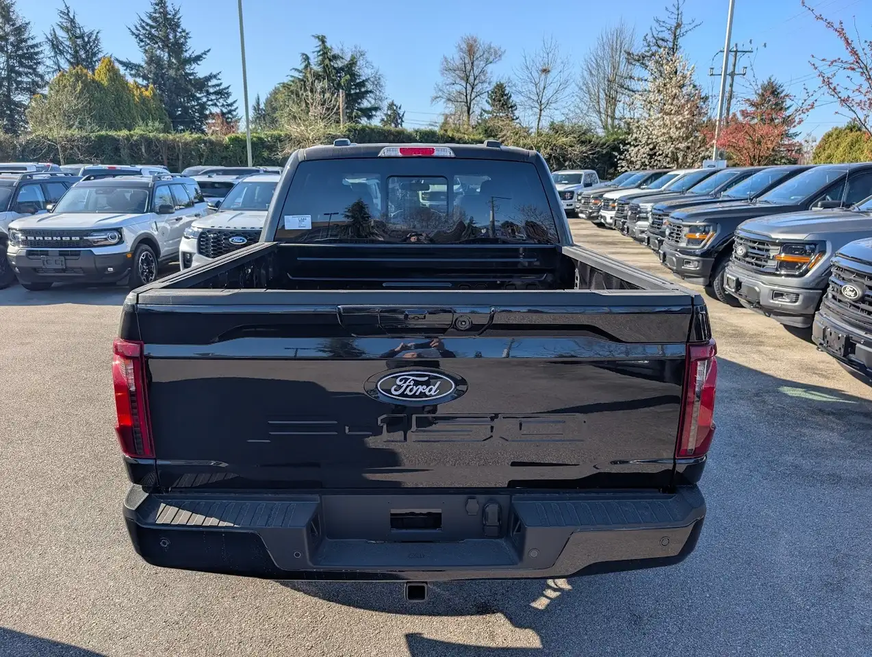 Ford F 150 снимка Ford F 150