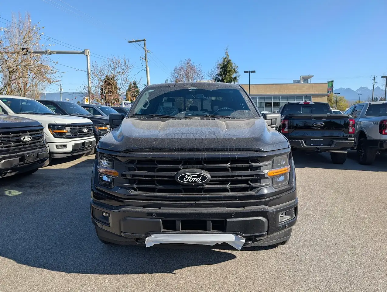 Ford F 150 снимка Ford F 150