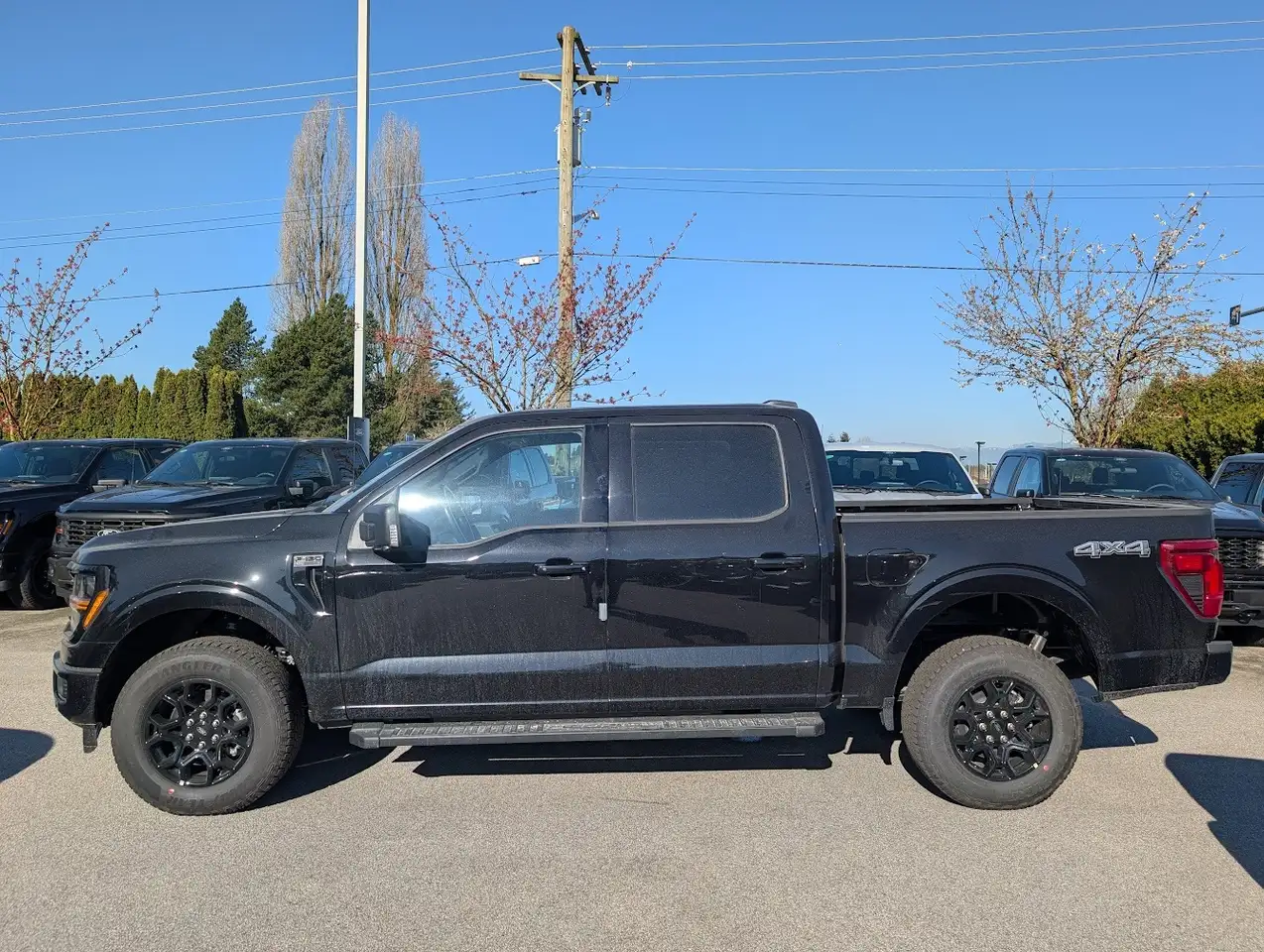 Ford F 150 снимка Ford F 150