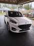 Ford Kuga Kuga 2,5 Duratec PHEV ST-Line X Aut. ST-Line X Weiß - thumbnail 2