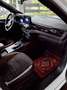 Ford Kuga Kuga 2,5 Duratec PHEV ST-Line X Aut. ST-Line X Weiß - thumbnail 7