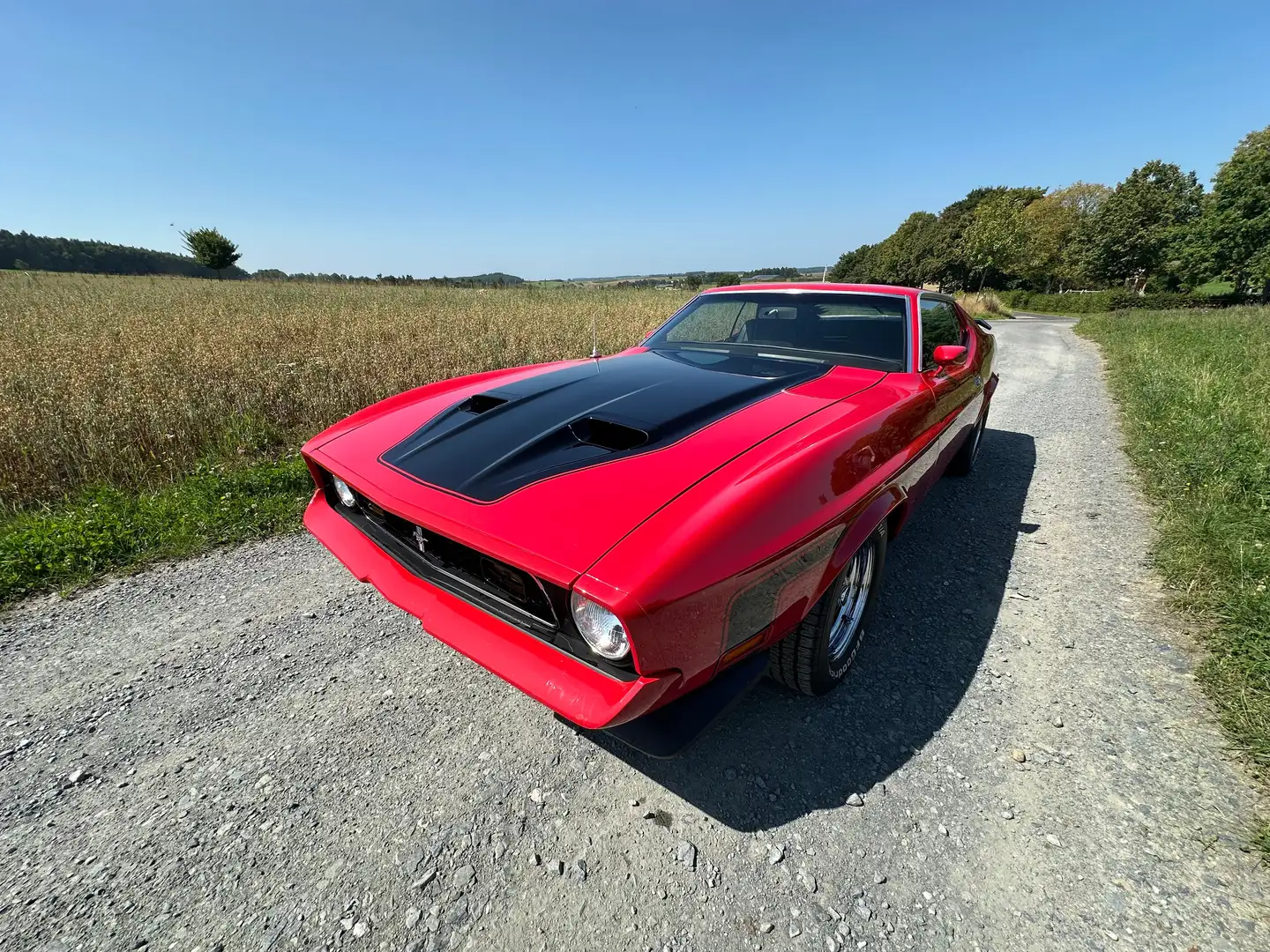 Ford Mustang MACH-1 Sportsroof 351 Cleveland Червоний - 1