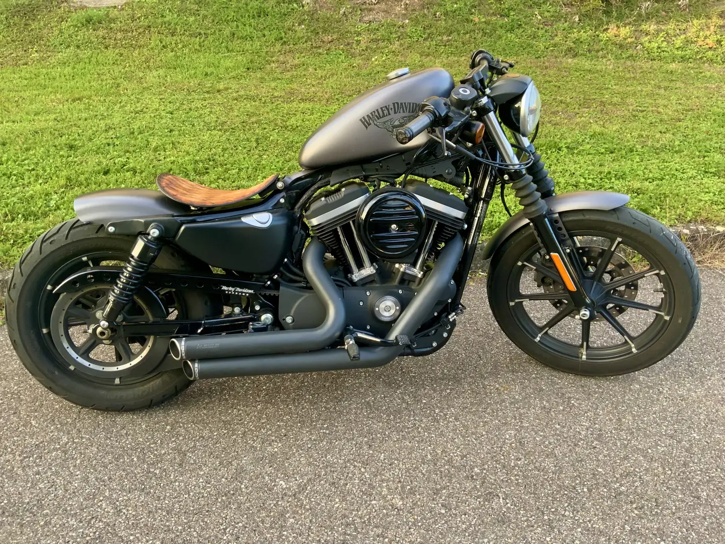 Harley-Davidson Iron 883 Thorcat Mad Max Purge, Ledersattel, 3in1 Blinker Šedá - 2