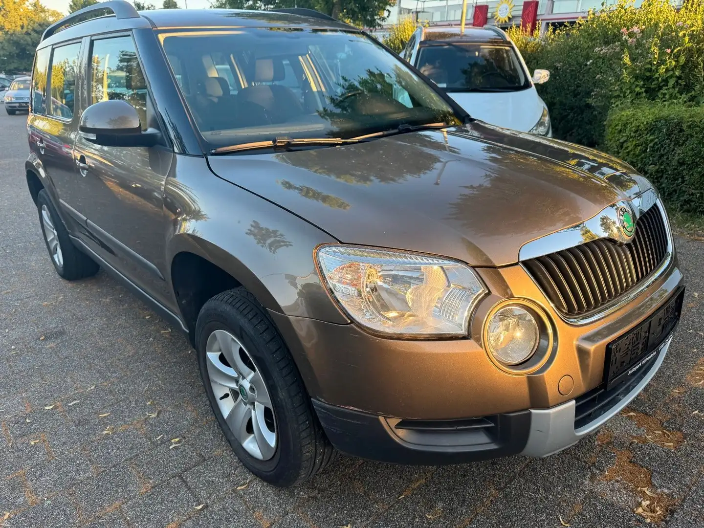 Skoda Yeti Ambition Brązowy - 1