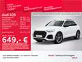 Audi SQ5 TDI tiptr. StdHzg/B&O/Matrix Weiß - thumbnail 1