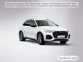 Audi SQ5 TDI tiptr. StdHzg/B&O/Matrix Weiß - thumbnail 7