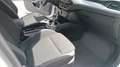 Ford Focus Focus Traveller 1,5 EcoBlue Cool Weiß - thumbnail 8