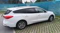 Ford Focus Focus Traveller 1,5 EcoBlue Cool Weiß - thumbnail 2