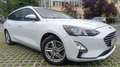 Ford Focus Focus Traveller 1,5 EcoBlue Cool Weiß - thumbnail 3