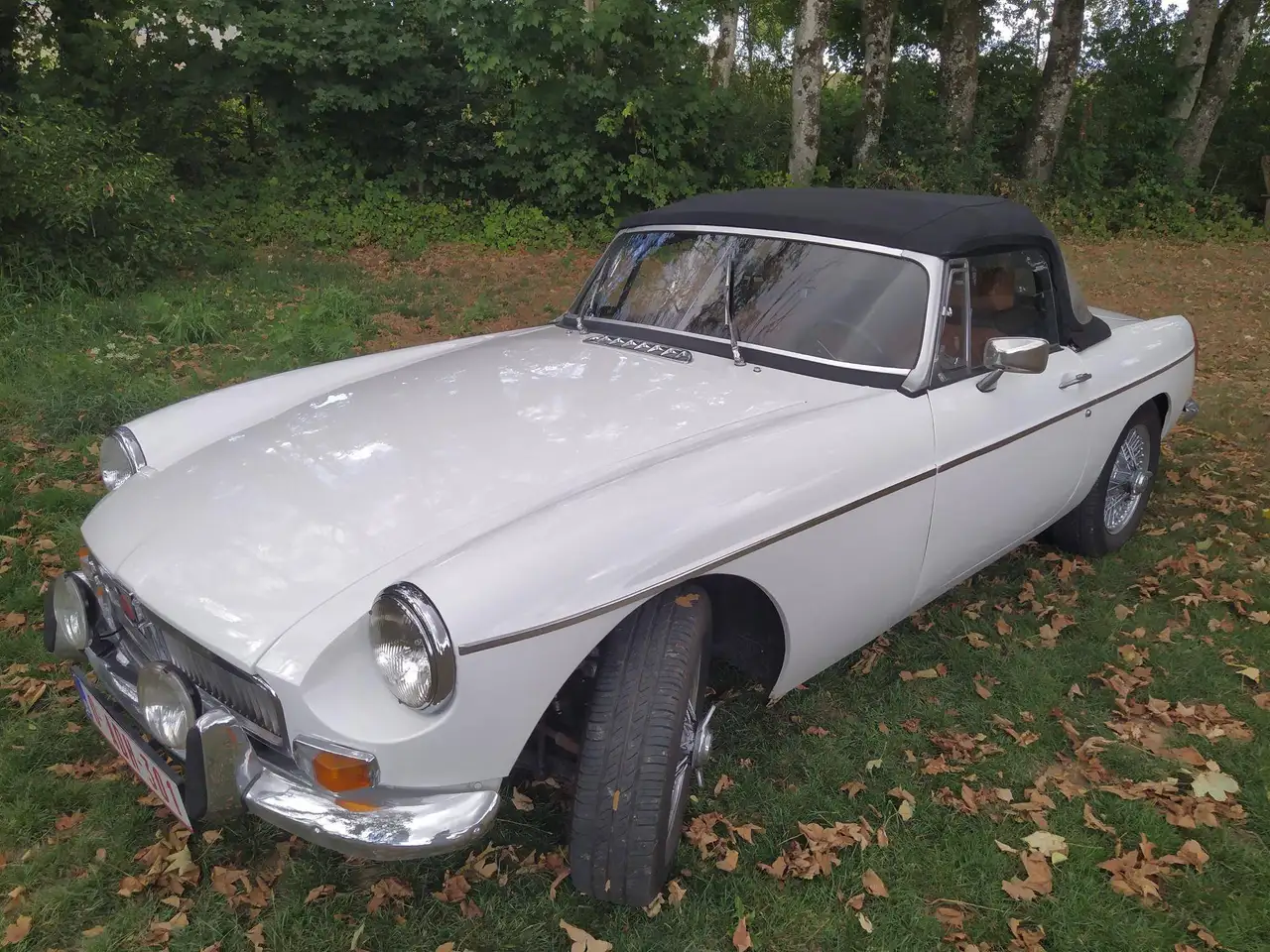 MG MGB, foto 1
