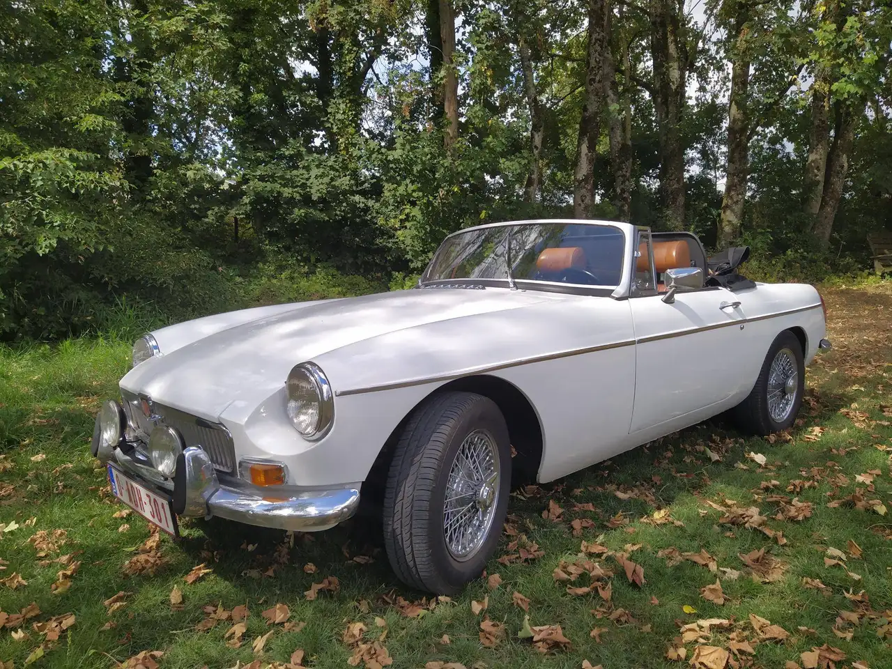 MG MGB, foto 5
