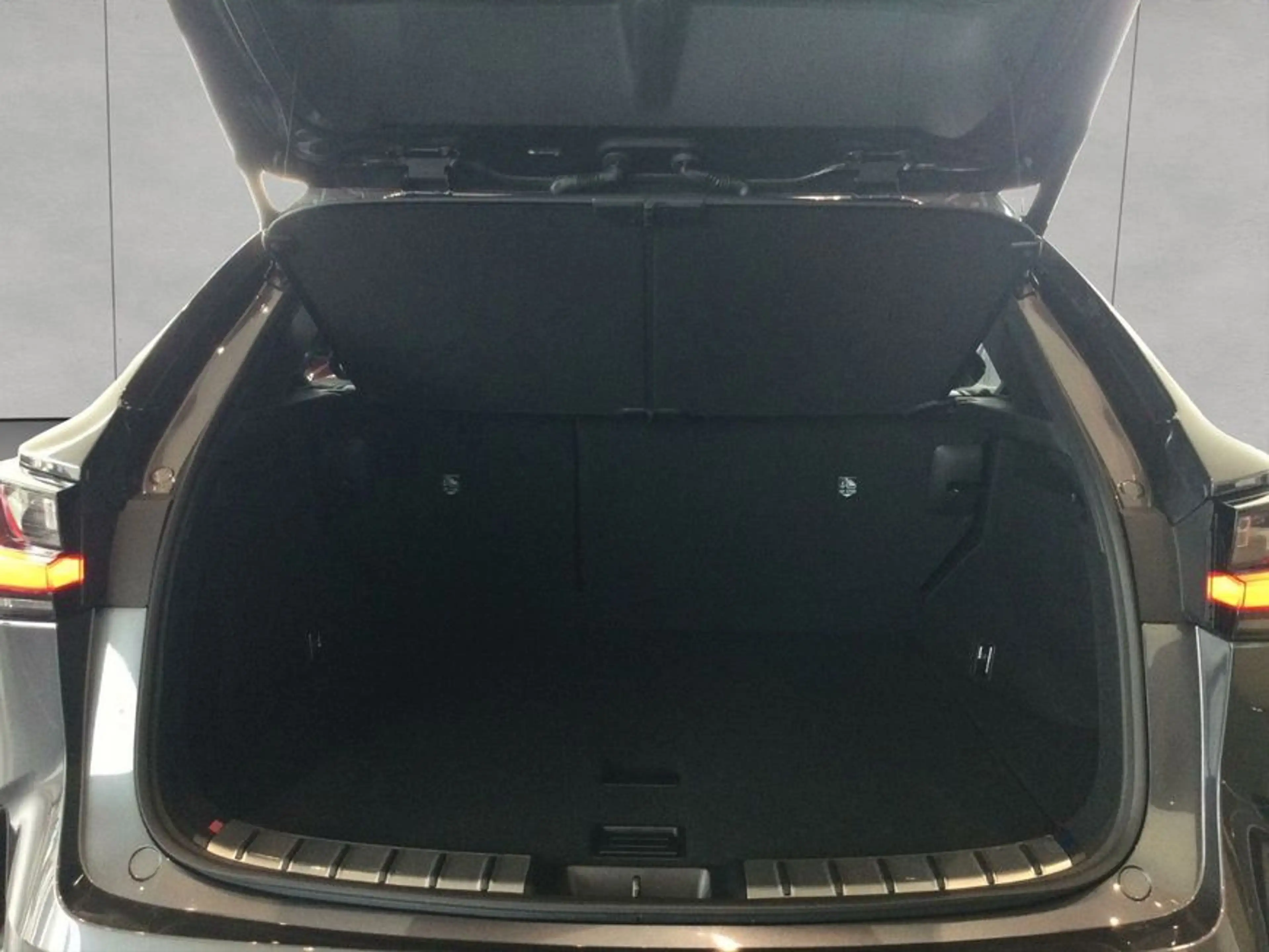 Lexus NX350h 4x4 F-Sport + Panorama Modell2026 — photo 6