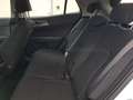 Kia Sportage Sportage 1.6 crdi mhev Business dct Blanc - thumbnail 21