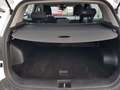 Kia Sportage Sportage 1.6 crdi mhev Business dct Blanc - thumbnail 22