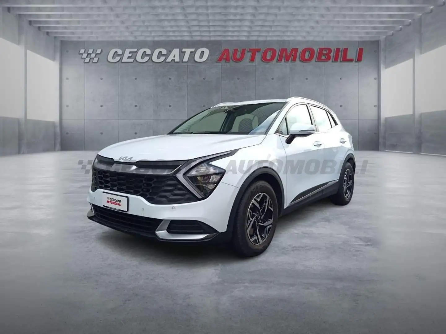 Kia Sportage Sportage 1.6 crdi mhev Business dct Blanc - 1