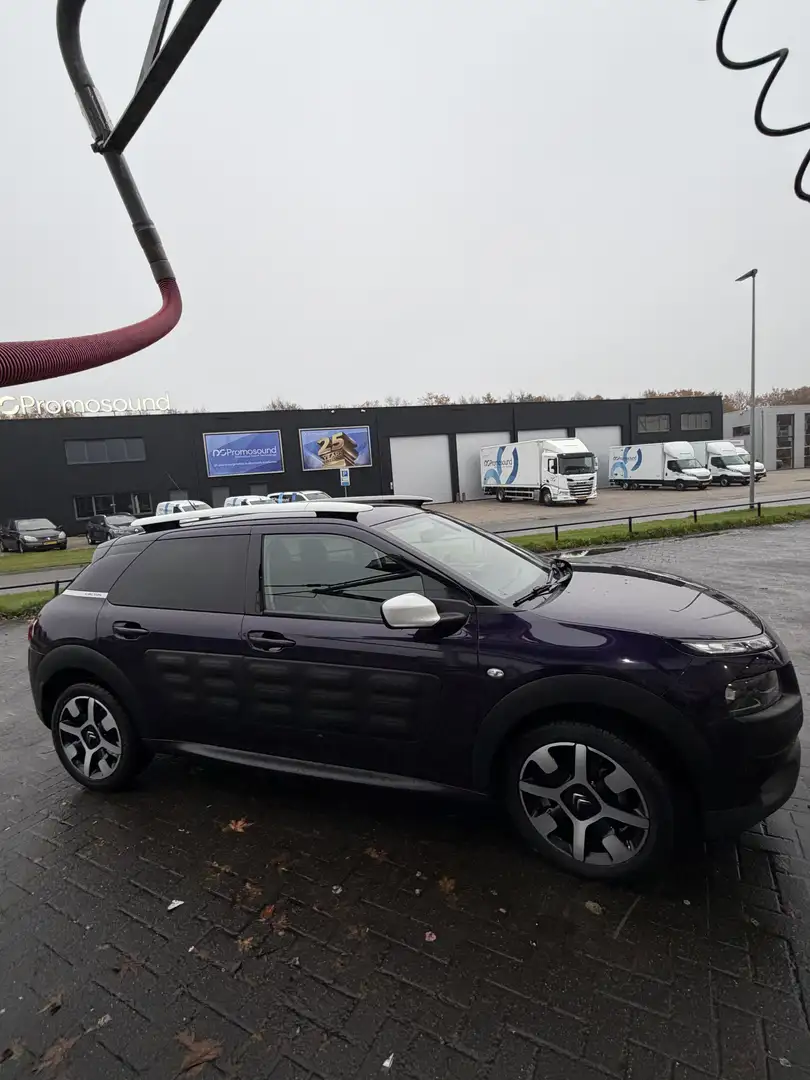 Citroen C4 Cactus 1.2 PureT. Business NIEUWE APK Paars - 2