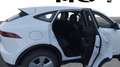 Jaguar E-Pace 2.0D I4 Standard FWD 150 Blanc - thumbnail 14