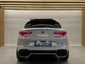 Alfa Romeo Stelvio Alfa Romeo STELVIO 2.9BI-TURBO 510CV QUADRIFOGLIO Blanc - thumbnail 6