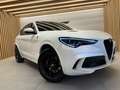 Alfa Romeo Stelvio Alfa Romeo STELVIO 2.9BI-TURBO 510CV QUADRIFOGLIO Wit - thumbnail 2