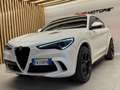 Alfa Romeo Stelvio Alfa Romeo STELVIO 2.9BI-TURBO 510CV QUADRIFOGLIO Weiß - thumbnail 4