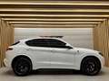 Alfa Romeo Stelvio Alfa Romeo STELVIO 2.9BI-TURBO 510CV QUADRIFOGLIO Bianco - thumbnail 7