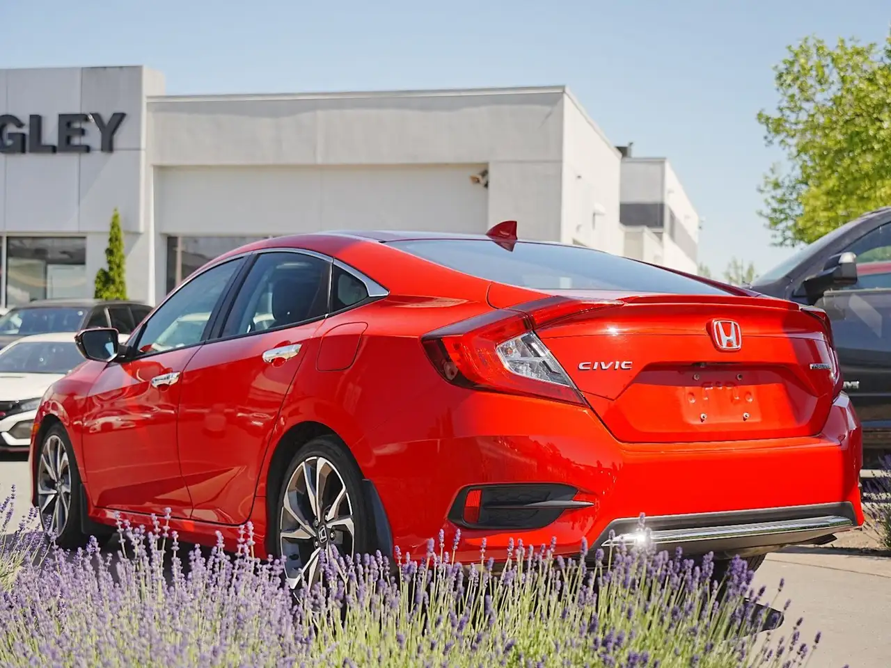 Honda Civic снимка Honda Civic