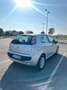 Fiat Punto Evo 5p 1.2 Active s&s - thumbnail 5
