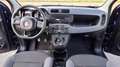 Fiat Panda 1.2 benzina UNICO PROPRIETARIO Blu/Azzurro - thumbnail 11