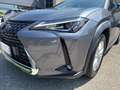 Lexus UX 250h 2.0 Business 2wd cvt Grigio - thumbnail 6