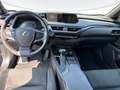 Lexus UX 250h 2.0 Business 2wd cvt Grigio - thumbnail 9