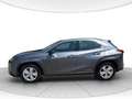 Lexus UX 250h 2.0 Business 2wd cvt Grigio - thumbnail 2