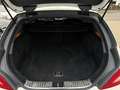 Mercedes-Benz CLS SB CLS 350 d 4Matic, TÜV neu, Serivce neu Weiß - thumbnail 11
