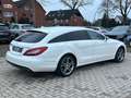 Mercedes-Benz CLS SB CLS 350 d 4Matic, TÜV neu, Serivce neu Weiß - thumbnail 5