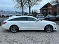 Mercedes-Benz CLS SB CLS 350 d 4Matic, TÜV neu, Serivce neu Weiß - thumbnail 6