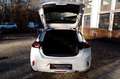 Opel Corsa F Edition SHZ*PDC*Lenkradhz*Temp*Spurhalte Blanc - thumbnail 19