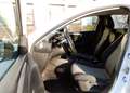 Opel Corsa F Edition SHZ*PDC*Lenkradhz*Temp*Spurhalte Blanc - thumbnail 14
