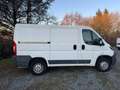 Peugeot Boxer HDi 330 L1H1 Pro Weiß - thumbnail 8