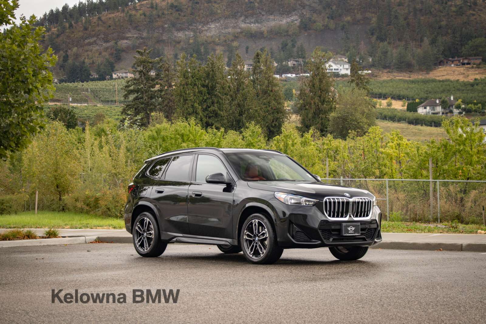 2025 BMW X1