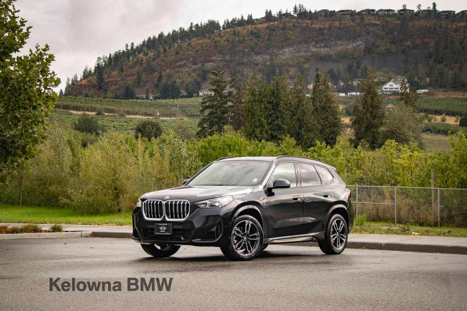 2025 BMW X1