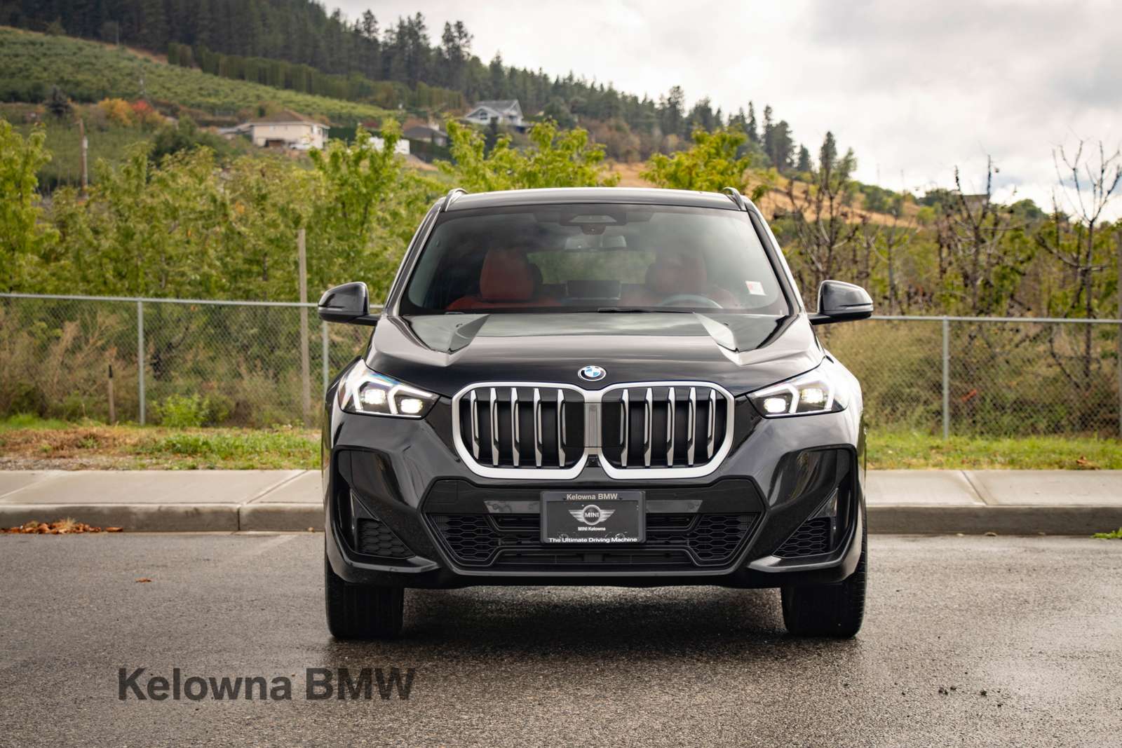 2025 BMW X1