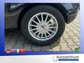 Ford Fiesta 1.4 *KLIMA*TÜV NEU*ALU* Blau - thumbnail 15