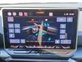 CUPRA Leon LEON 1.5 ETSI DSG 5 J. GAR.* AHZV-VORBER. SITZH. Gris - thumbnail 10
