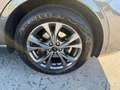 Ford Kuga 2.0 EcoBlue 120 CV aut. 2WD ST-Line PROMO VFG All Grau - thumbnail 37