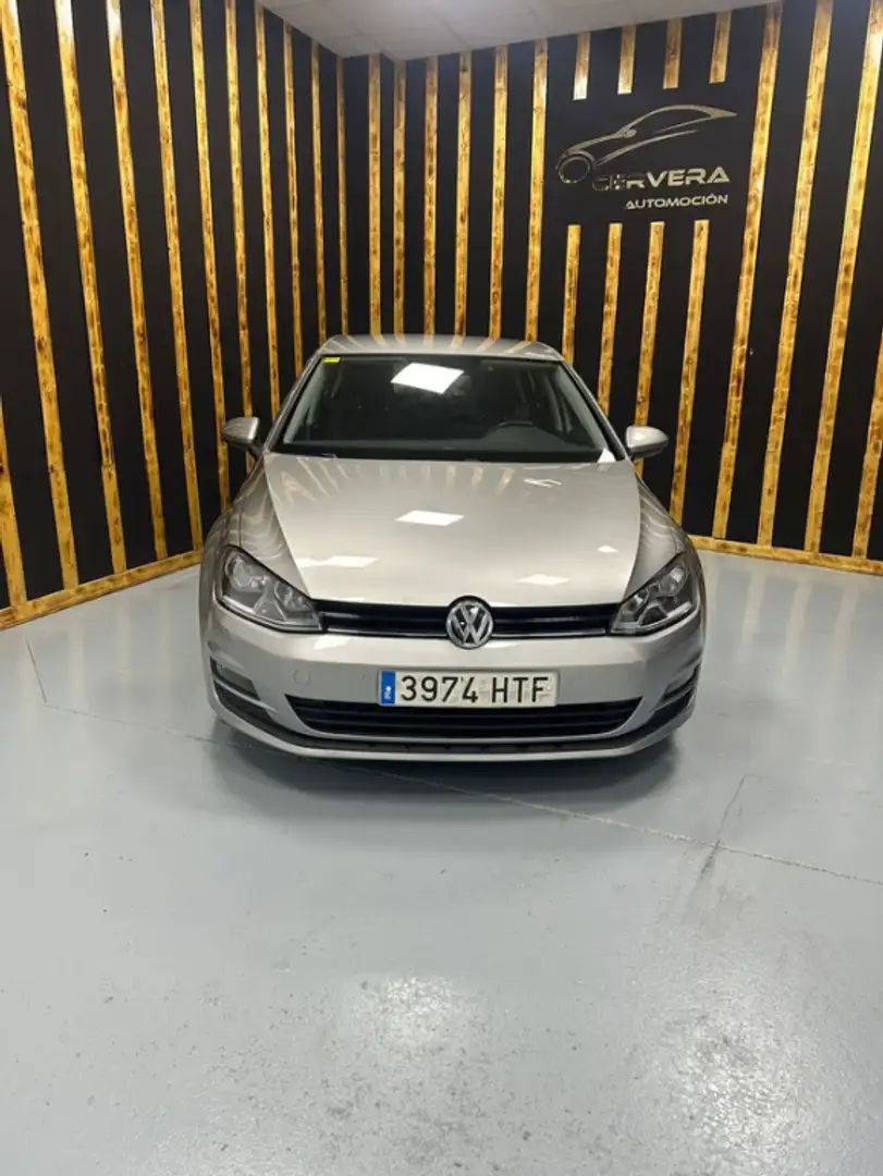 Volkswagen Golf 1.6TDI CR Business 105 Gris - 2