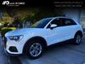 Audi Q3 Q3 35 TDI S tronic Business Bianco - thumbnail 1
