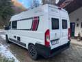 Peugeot Boxer Camper Giottivan T60 privilege Weiß - thumbnail 4