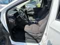 Ford Kuga Trend 2WD 2,0D 1.Hand Weiß - thumbnail 10